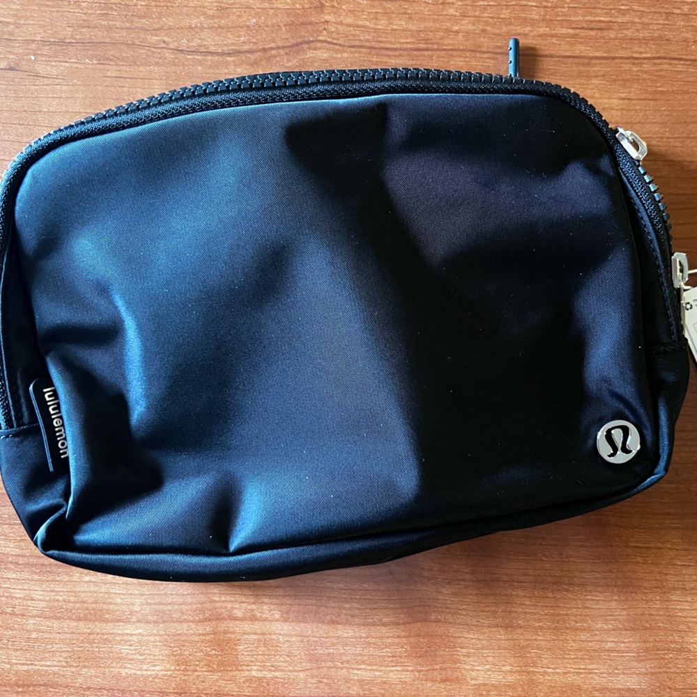 Large Everywhere Belt Bag
